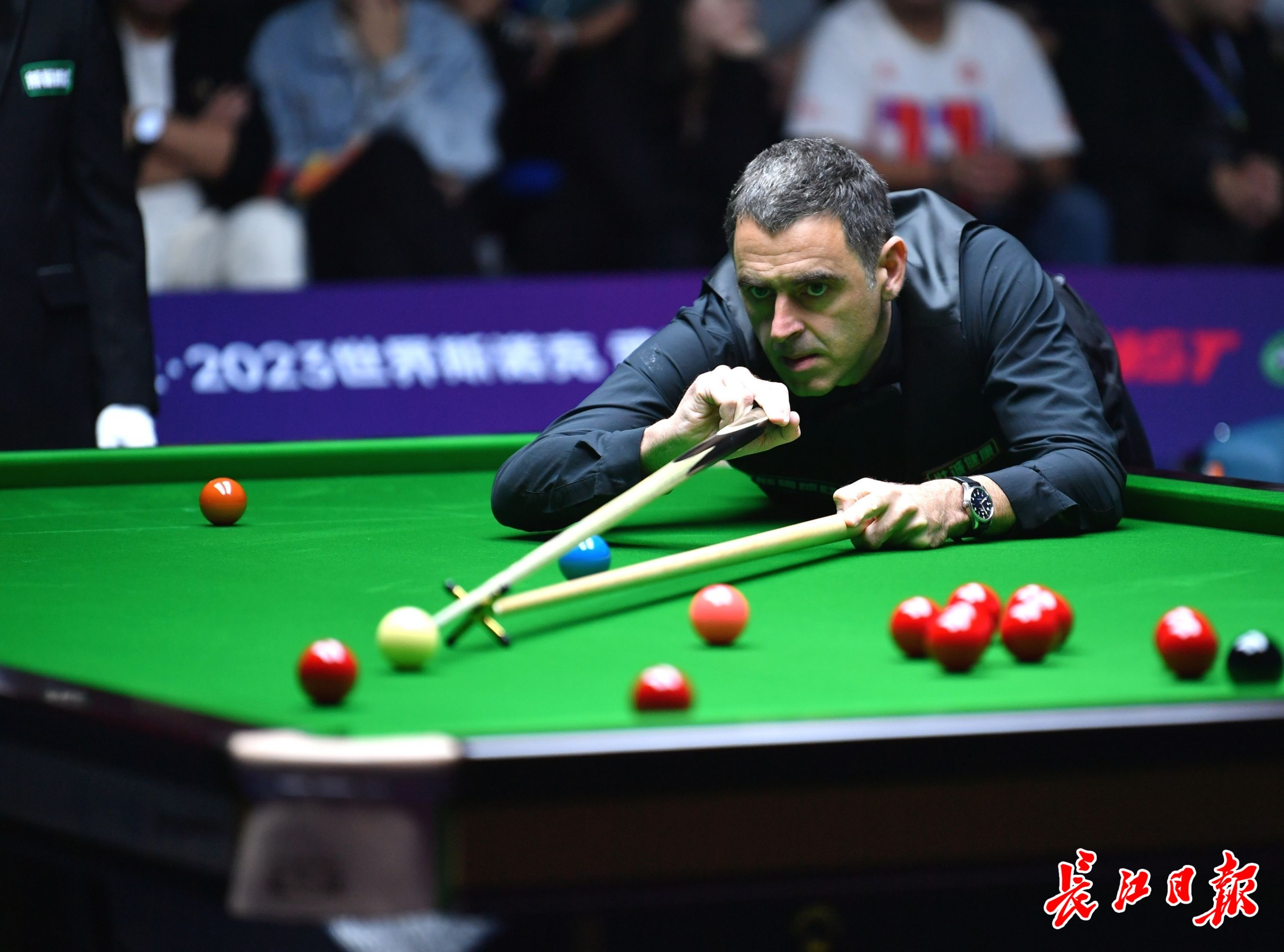 无法轻易割 无法轻易割