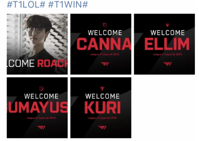 埃拉展现了 埃拉展现了